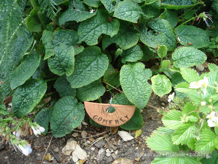 Продолжаем путешествие по Bourne Mill