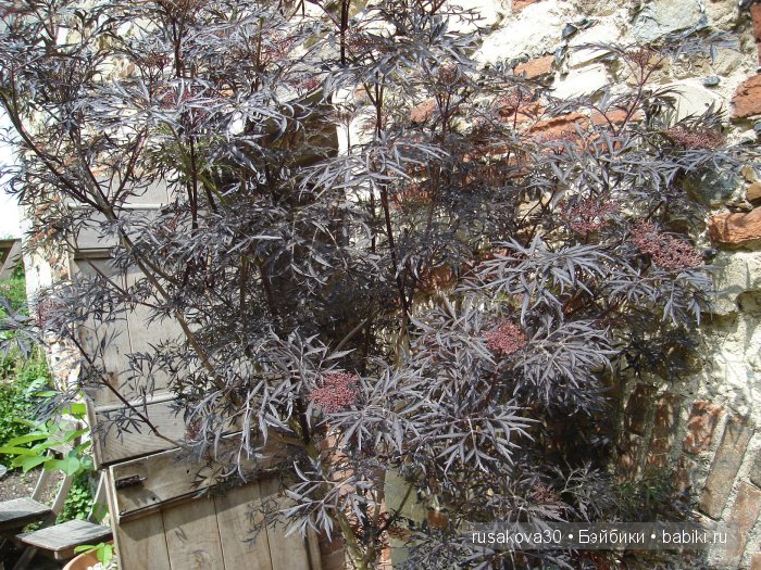 Продолжаем путешествие по Bourne Mill