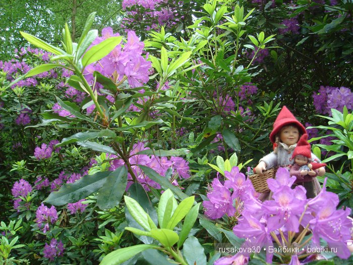 Мечтать не вредно, а даже полезно