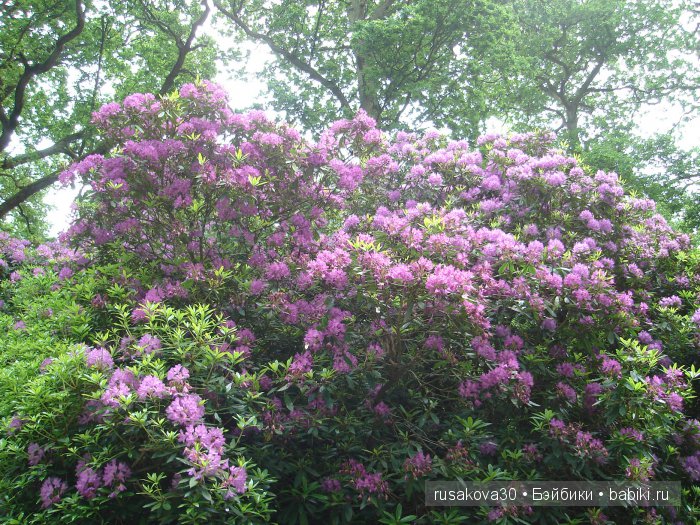 Гномики Аманда и Дитте путешествуют
