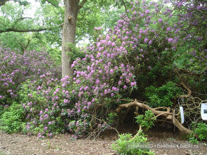 Гномики Аманда и Дитте путешествуют