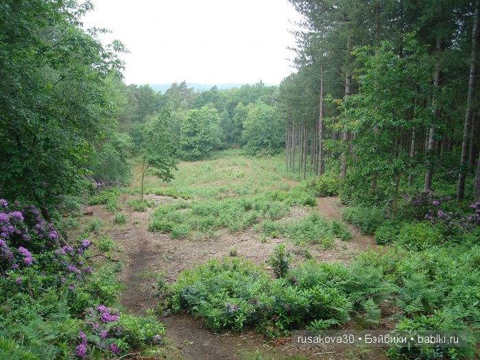 Гномики Аманда и Дитте путешествуют (фото 4)
