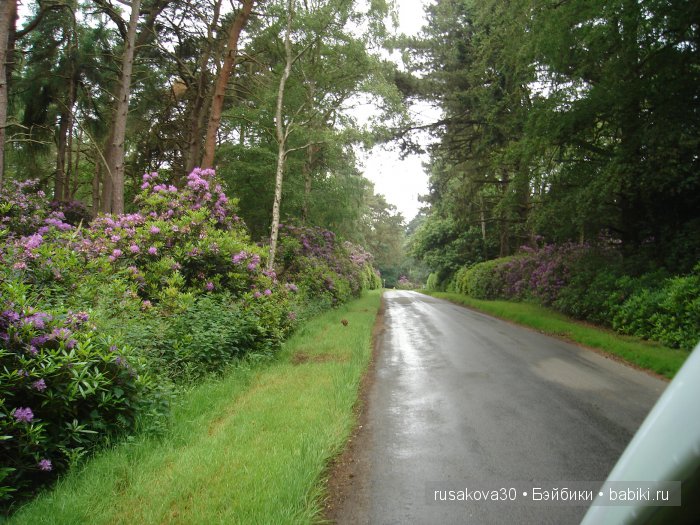 Мечтать не вредно, а даже полезно