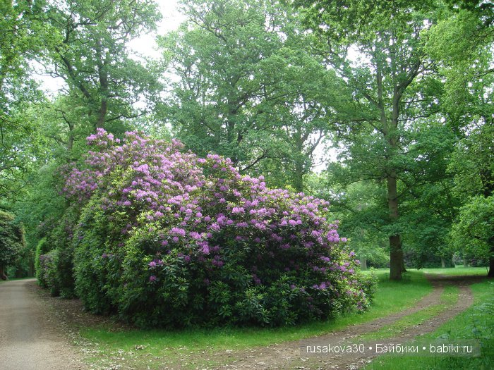 Гномики Аманда и Дитте путешествуют