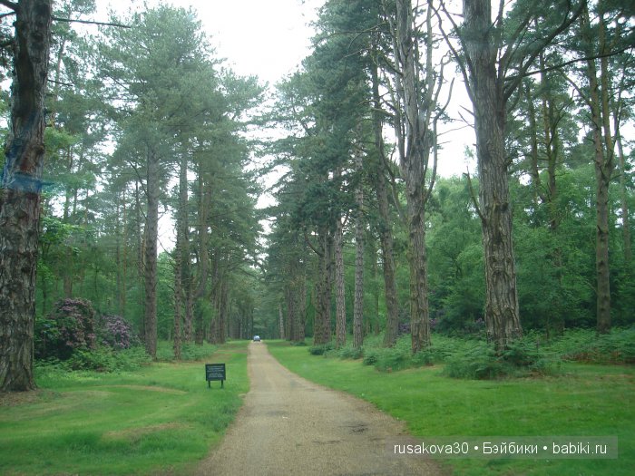 Мечтать не вредно, а даже полезно