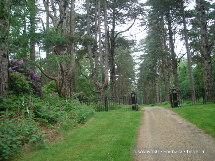 Мечтать не вредно, а даже полезно