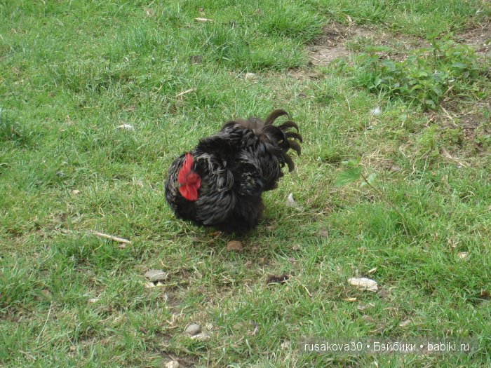 Гномики Аманда и Дитте путешествуют