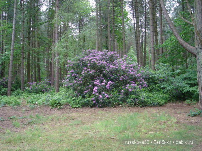 Гномики Аманда и Дитте путешествуют (фото 10)