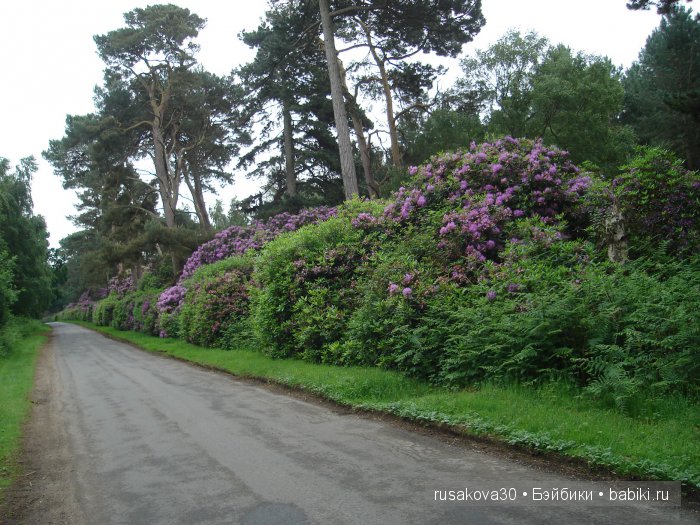 Мечтать не вредно, а даже полезно
