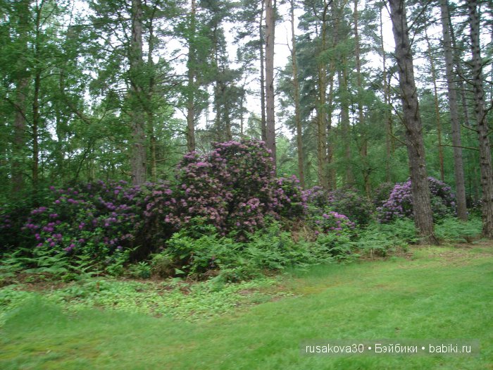 Мечтать не вредно, а даже полезно