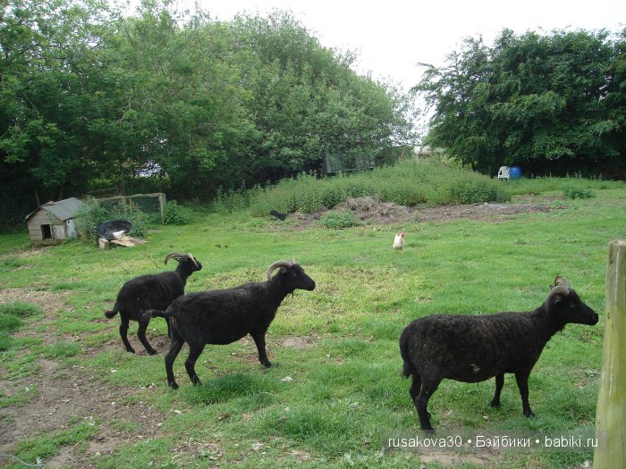 Гномики Аманда и Дитте путешествуют