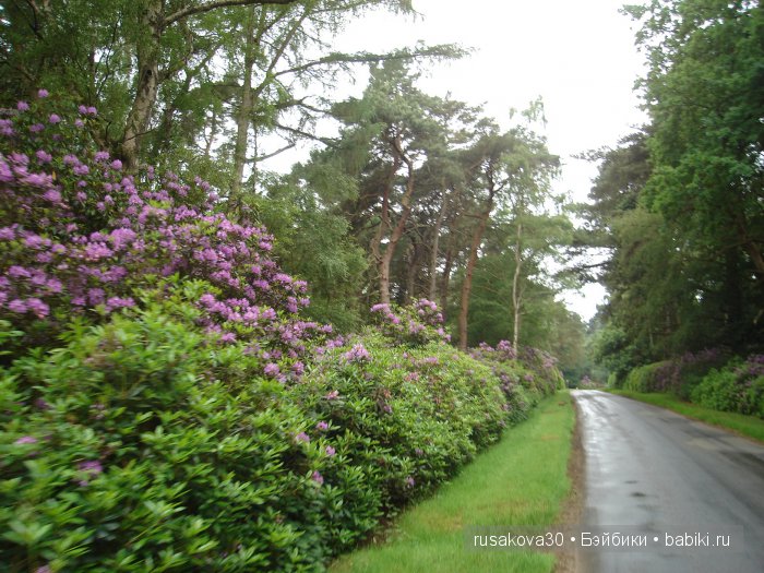Мечтать не вредно, а даже полезно