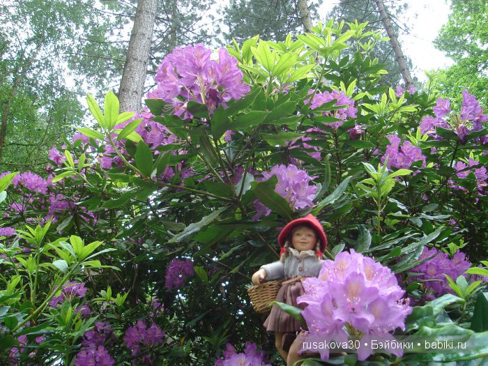Мечтать не вредно, а даже полезно