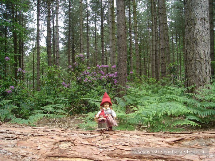 Гномики Аманда и Дитте путешествуют (фото 6)