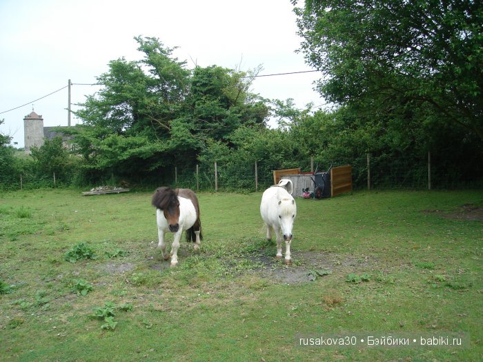 Гномики Аманда и Дитте путешествуют