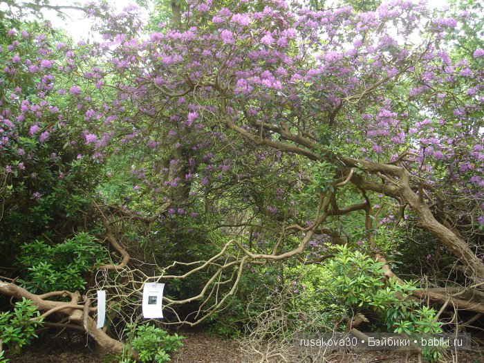 Гномики Аманда и Дитте путешествуют