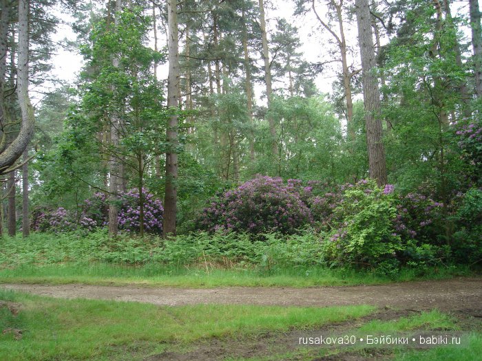 Гномики Аманда и Дитте путешествуют