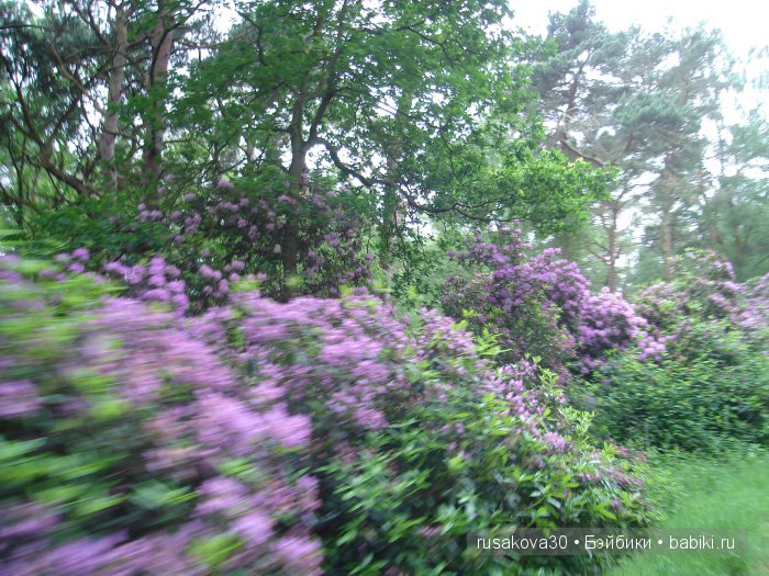 Мечтать не вредно, а даже полезно