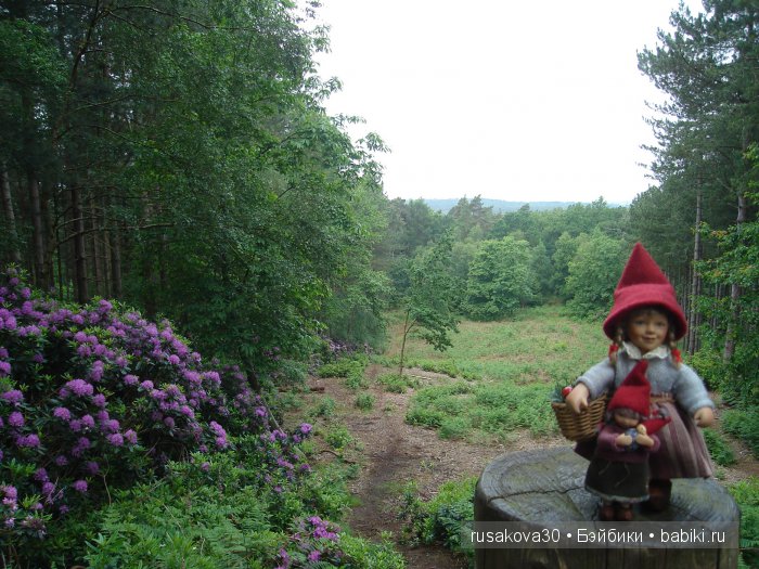 Гномики Аманда и Дитте путешествуют (фото 3)