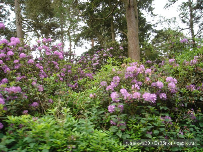 Мечтать не вредно, а даже полезно