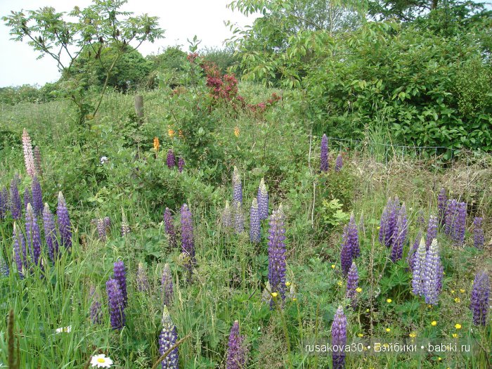 Гномики Аманда и Дитте путешествуют