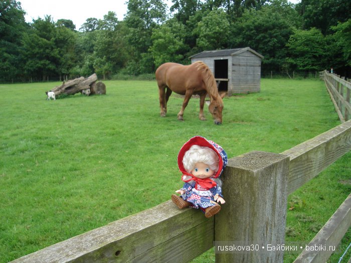 Холли Хобби на маленькой ферме