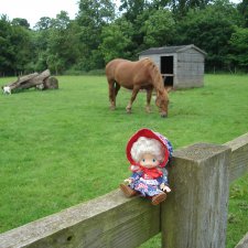 Холли Хобби на маленькой ферме.