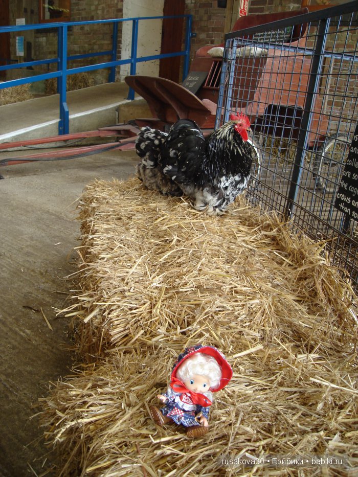 Холли Хобби на маленькой ферме