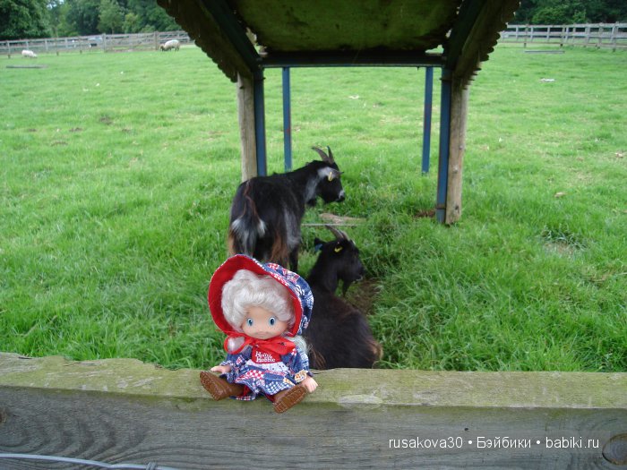 Холли Хобби на маленькой ферме