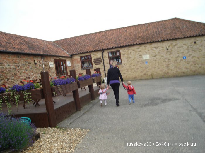 Холли Хобби на маленькой ферме (фото 9)