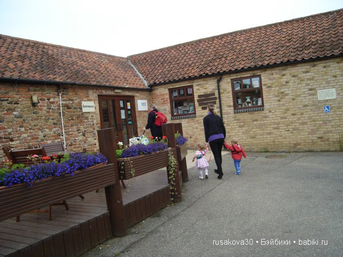 Холли Хобби на маленькой ферме (фото 10)