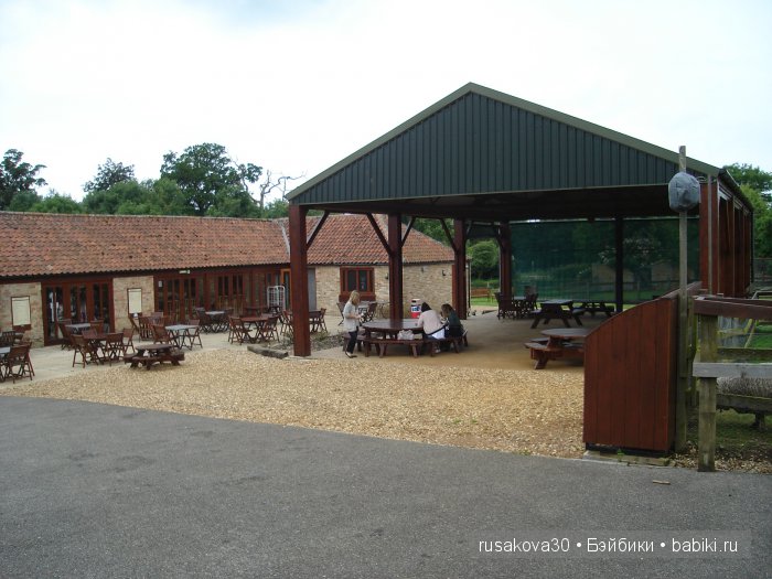 Холли Хобби на маленькой ферме