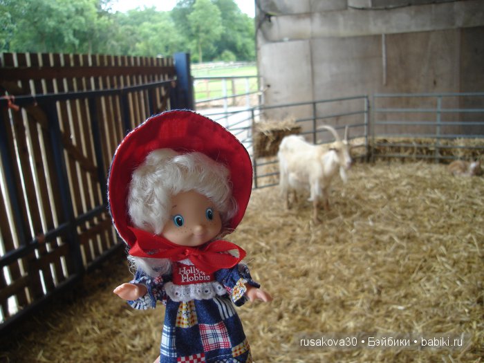 Холли Хобби на маленькой ферме