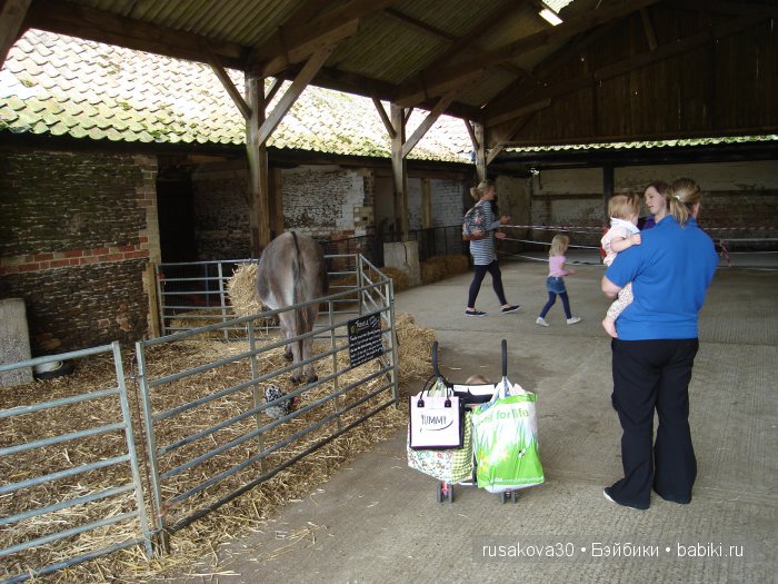 Холли Хобби на маленькой ферме
