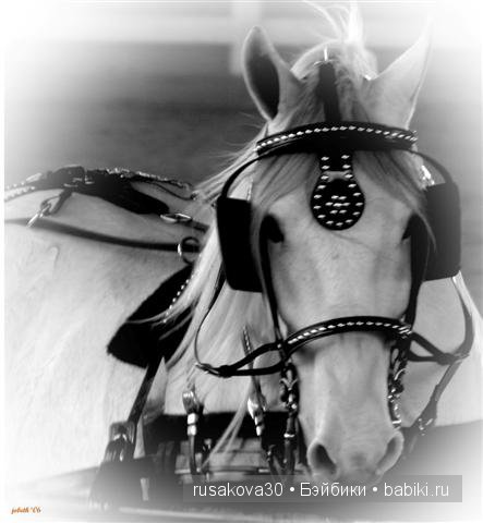 Коллекционер я или нет | Бэйбики Коллекционер я или нет — Болталка и разговоры обо всем: жизнь