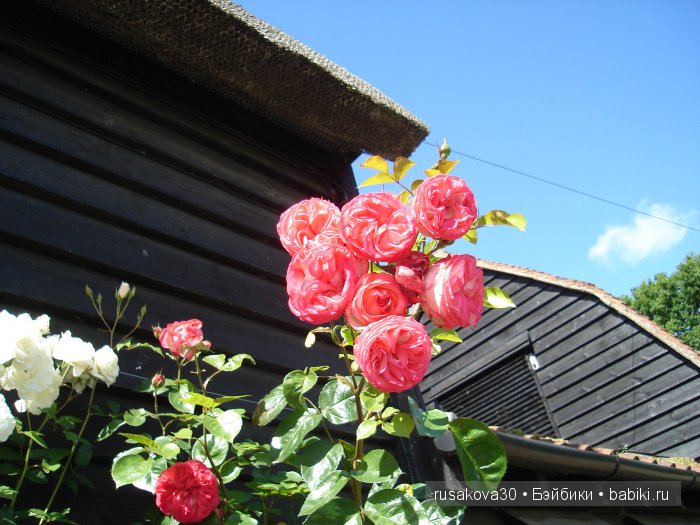 На каждом шагу констебли.....или куклы гуглики путешествуют