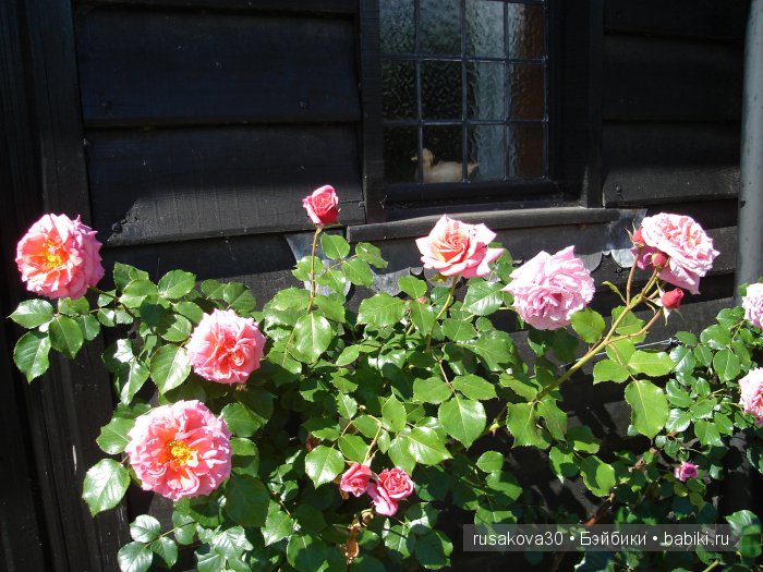 На каждом шагу констебли.....или куклы гуглики путешествуют