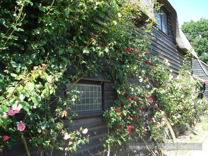 На каждом шагу констебли.....или куклы гуглики путешествуют