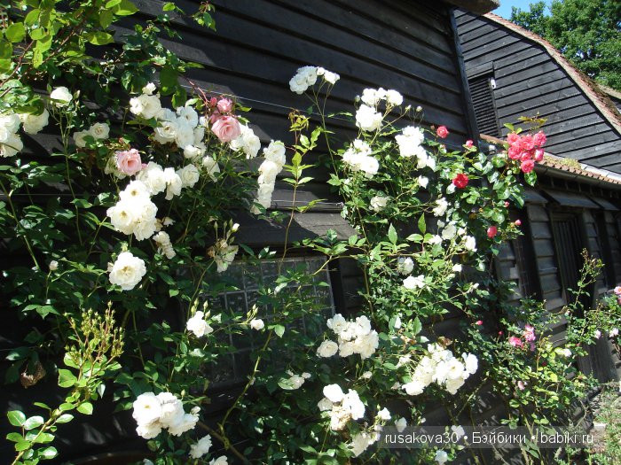 На каждом шагу констебли.....или куклы гуглики путешествуют