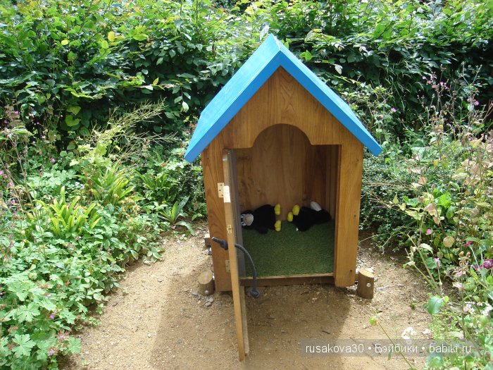 Графство Джона Констебля(продолжение)