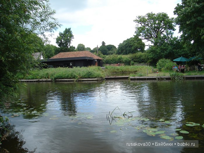 Графство Джона Констебля(продолжение) (фото 6)