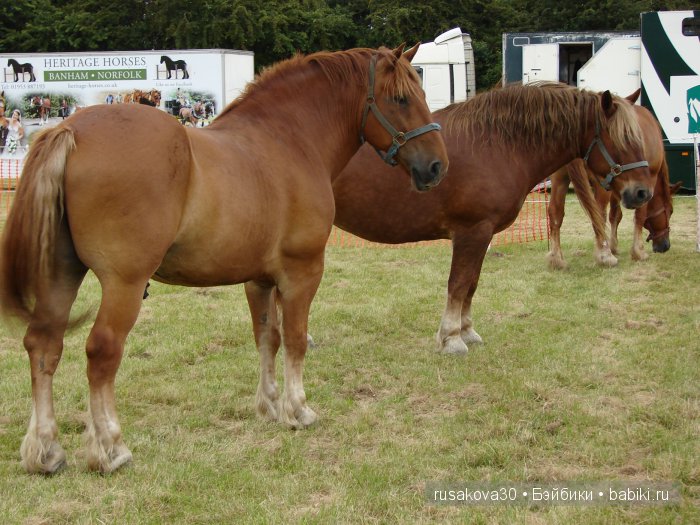 Куклы на ярмарке — Туризм и путешествия: фотоотчеты из поездок
