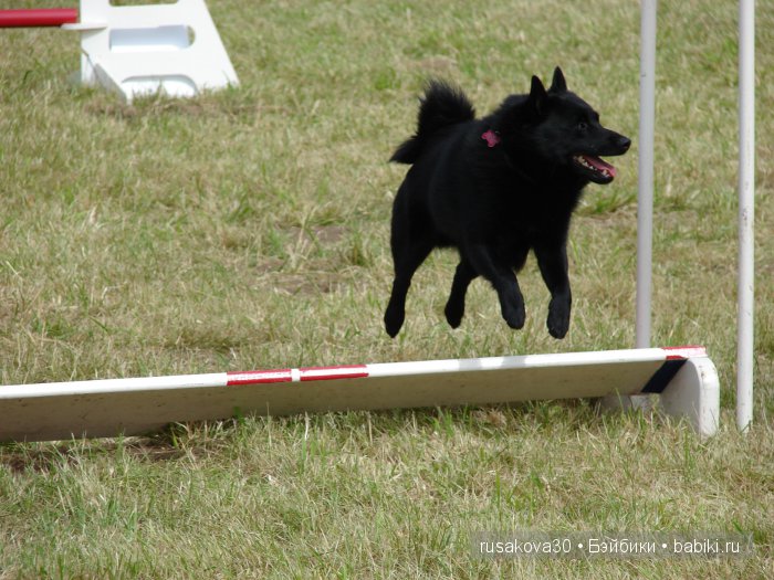 Куклы на ярмарке (окончание) (фото 10)