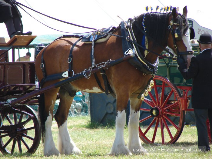 Куклы на ярмарке (окончание) (фото 2)