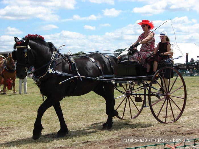Куклы на ярмарке (окончание) (фото 4)