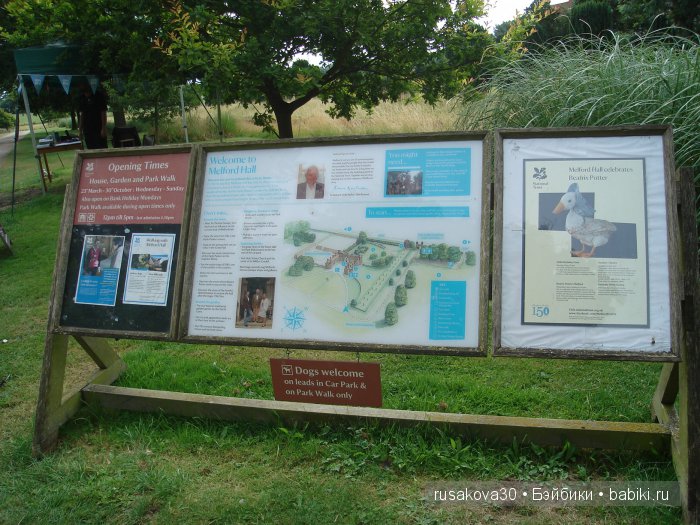 Кролик Питер путешествует (продолжение) (фото 2)