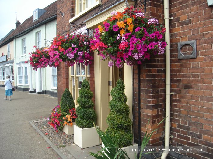 Кролик Питер путешествует (продолжение) (фото 5)