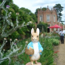 Путешествие кролика Питера .