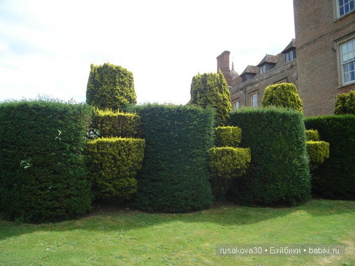 Кролик Питер путешествует (продолжение)