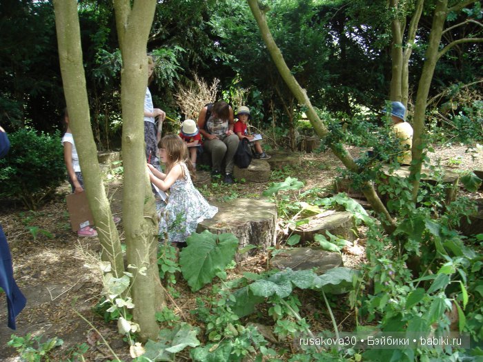 Кролик Питер путешествует (продолжение)